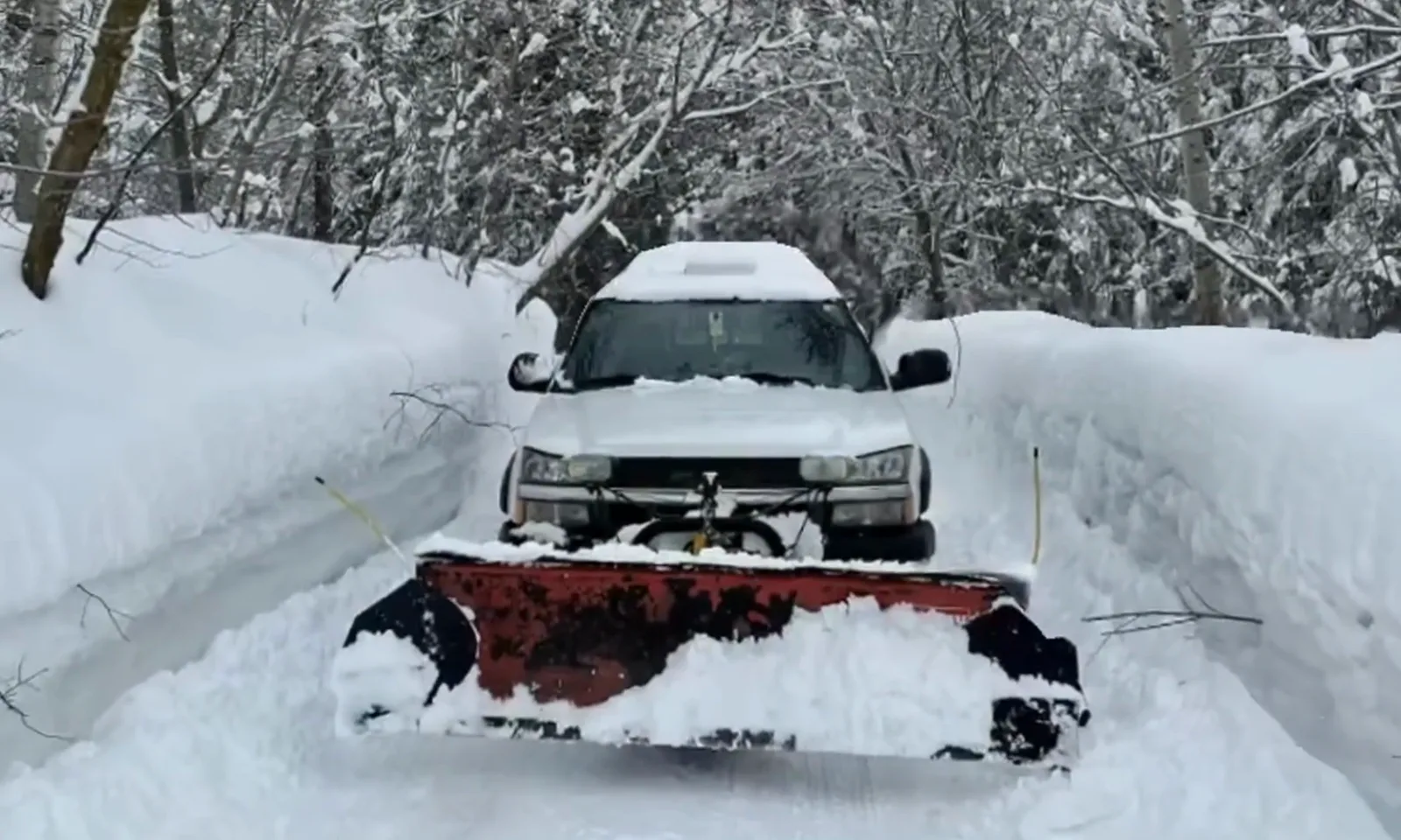 A Kendell truck with a red plow clearing a snowy, tree-lined drive.